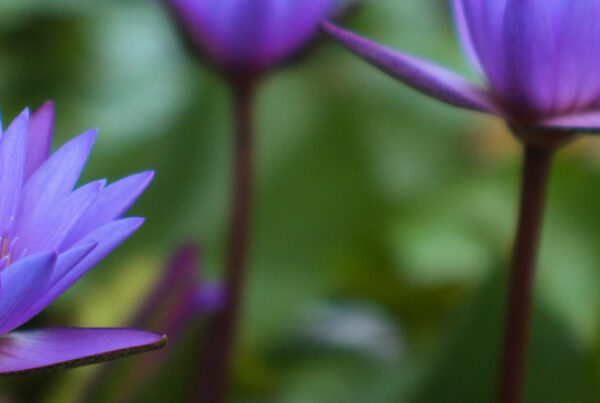 8 vlastností dobrého uchádzača o zamestnanie